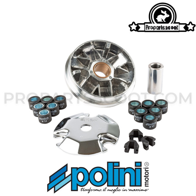Variator Polini Hi-Speed for PGO & Genuine