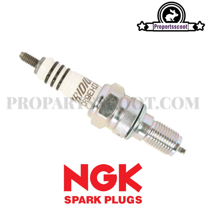 Spark plug Iridium CR9EHIX-9 (6216)