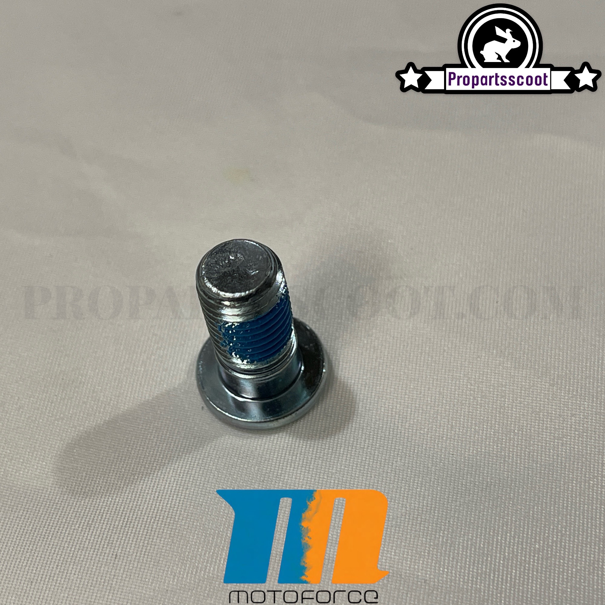 Brake Disc Screw MotoForce