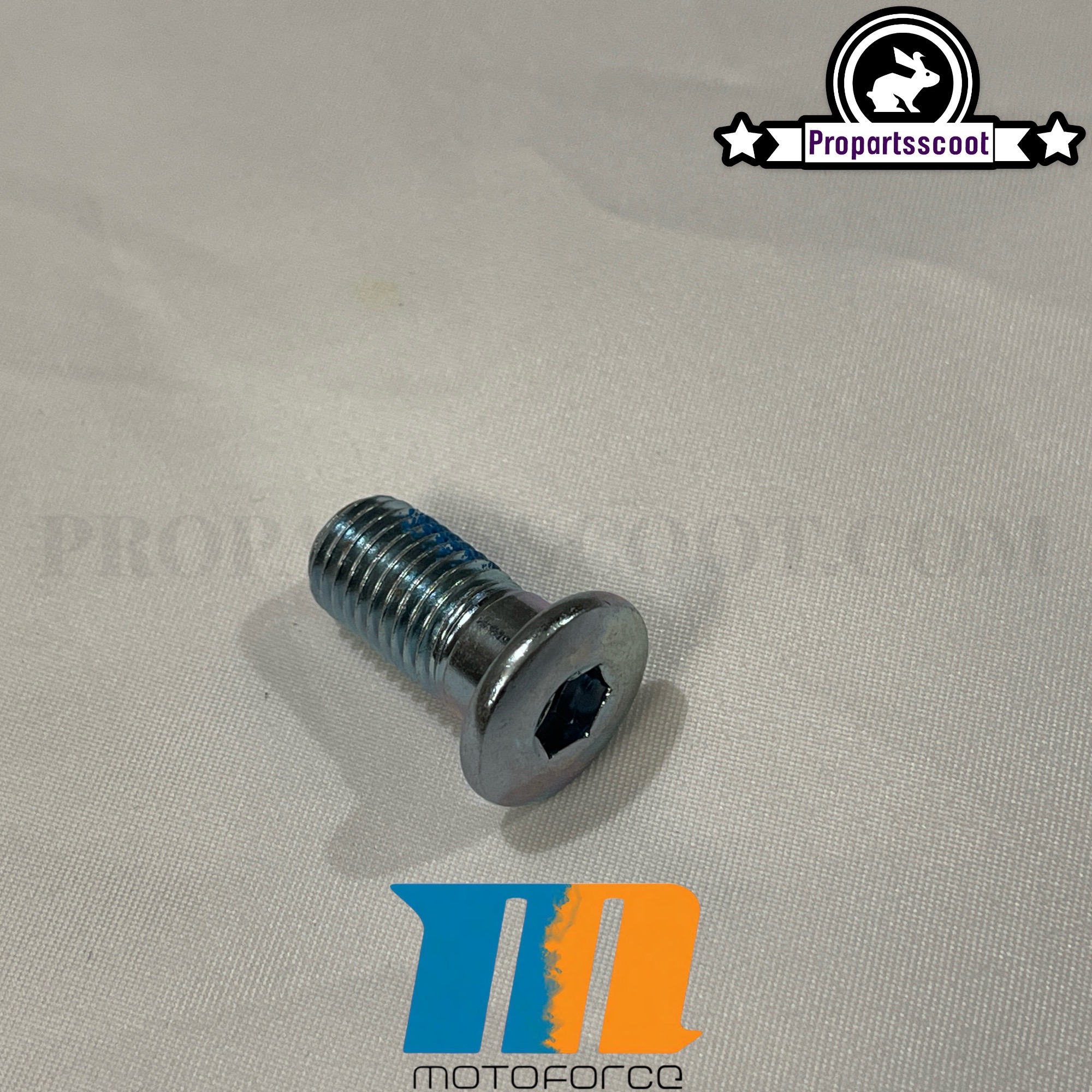 Brake Disc Screw MotoForce