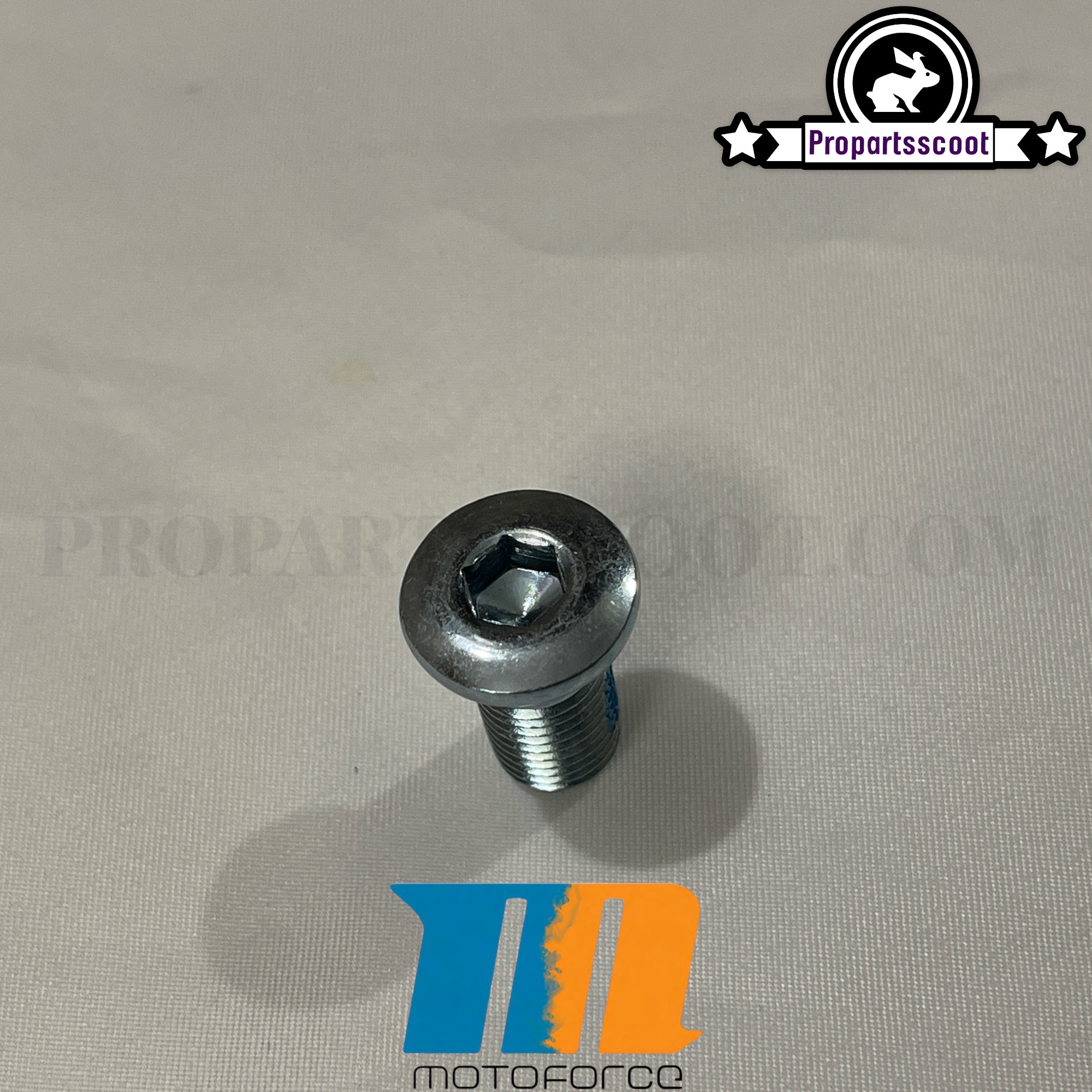 Brake Disc Screw MotoForce