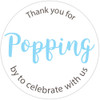 Thank you for popping by to celebrate with us DIY baby shower or wedding popcorn favors light blue and white