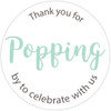 Thank you for popping by to celebrate with us DIY baby shower or wedding popcorn favors mint and white