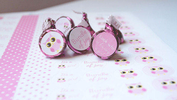 Pink Owl Mini Candy Chocolate Stickers 108 Labels