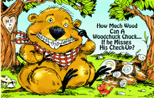 Woodchuck Recall