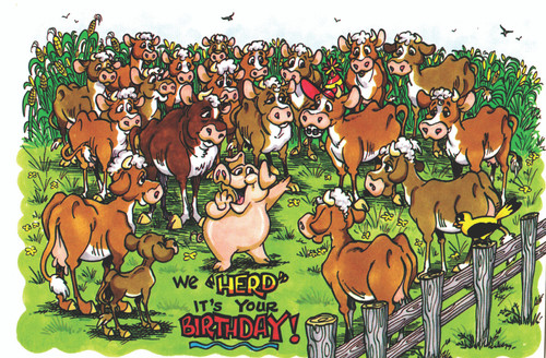 We Herd It's Your Birthday