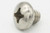 Screw, Phillips Head Machine, SS, 1/4-20 x 0.250