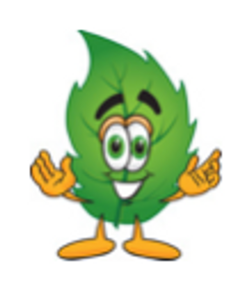 "minty minty Mint" Flavored Sugar Free Cotton Candy Mix (FLOSS), 1 pound Bag "minty minty Mint" Flavored Sugar Free Cotton Candy Mix (FLOSS), 1 pound Bag