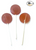 ABOUT 30 SUGAR FREE LOLLIPOPS PER POUND ABOUT 30 SUGAR FREE LOLLIPOPS PER POUND