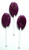 Diabeticfriendly®'s Sugar Free Lollipops, GRAPE Flavored, Ind Wrapped, Kosher Kof K Parve Uses Isomalt Diabeticfriendly®'s Sugar Free Lollipops, GRAPE Flavored, Ind Wrapped, Kosher Kof K Parve Uses Isomalt