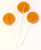Sugar Free CARAMEL Flavored Isomalt Lollipops (10 pops) Individually Wrapped Sugar Free CARAMEL Flavored Isomalt Lollipops (10 pops) Individually Wrapped