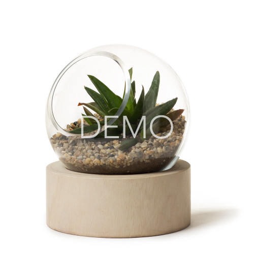 [Sample] Orbit Terrarium - Small