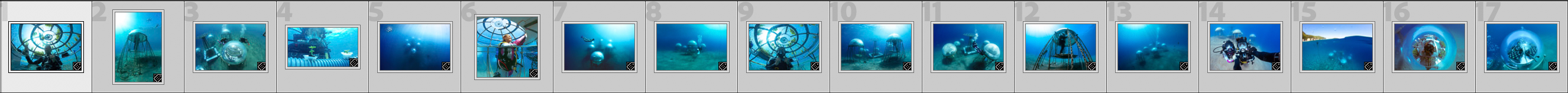 ngpictureset1.jpg ngpictureset1.jpg