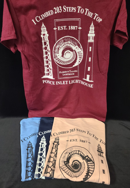 Adult I Climbed Staircase Tee