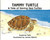 Tammy Turtle: A Tale of Saving Sea Turtles