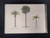 Palm Tree Note Card Set 