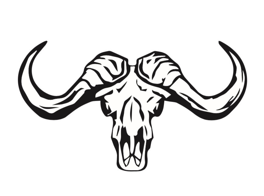 cape-buffalo-image.jpeg cape-buffalo-image.jpeg