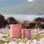 SC-M-MF Mini Soya Wax Vegan Scottish Candle - Machair Lifestyle Scottishwebstore.com
