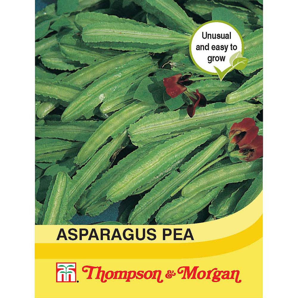 Asparagus Pea Mr Middleton Garden Shop