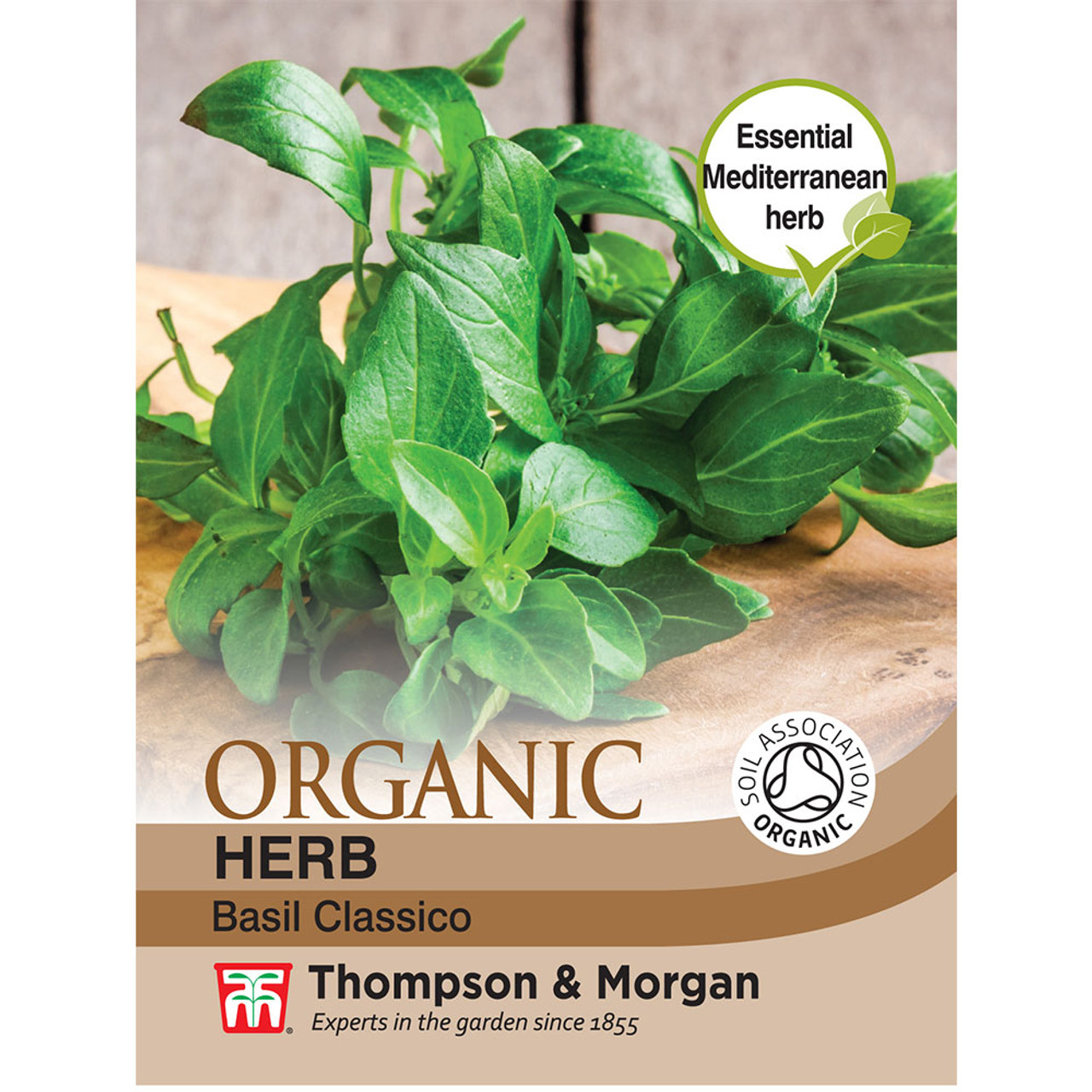 Herb Basil Classico Organic Mr Middleton Garden Shop