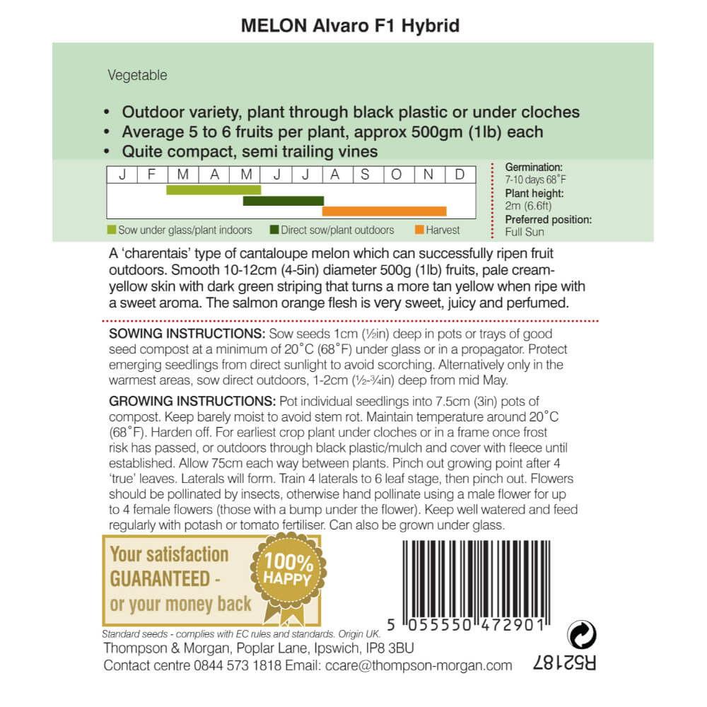 Melon Alvaro F1 Hybrid (AGM Range) Mr Middleton Garden Shop