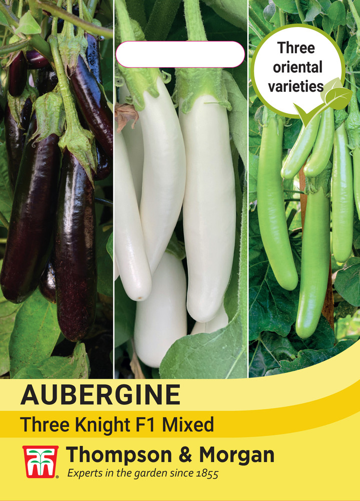 Aubergine Three Knight Collection F1 Recipe Mr Middleton Garden Shop