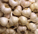 French Garlic Thermidrome