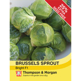 Brussels Sprout Bright F1