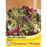 Lettuce Leaves Mixed
