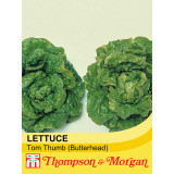 Lettuce Tom Thumb