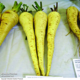 Parsnip Gladiator F1 Hybrid