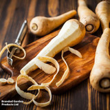 Parsnip Gladiator F1 Hybrid