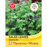 Salad Leaves - Speedy Mix (AIT04790)