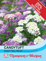 Candytuft Dwarf Fairy Mixed