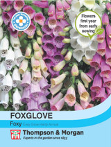 Foxglove Foxy