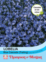 Lobelia (Trailing) Blue Cascade