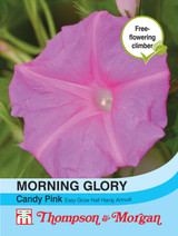 Morning Glory Candy Pink