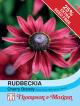 Rudbeckia Cherry Brandy