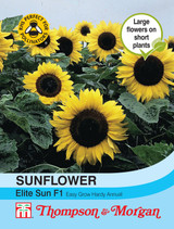 Sunflower Elite Sun F1