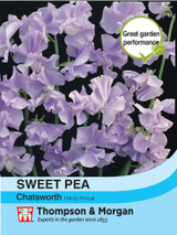 Sweet Pea Chatsworth