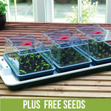 Large Propagator Big 3 Plus Free Seeds