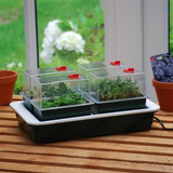 Fab 4 Propagator