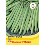 Dwarf Bean 'Opera'