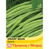 Dwarf Bean 'Speedy'