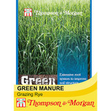 Green Manure Glazing Rye