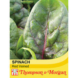 Spinach PV1390 'Red Veined'