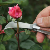 Budding/Pruning Knife (DP345)