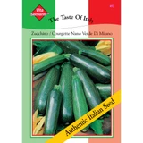 Zucchini Zucchino Verde di Milan