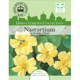 Nasturtium Whirlybird Cream