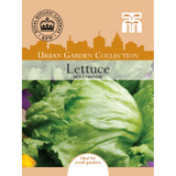 Lettuce Hollywood